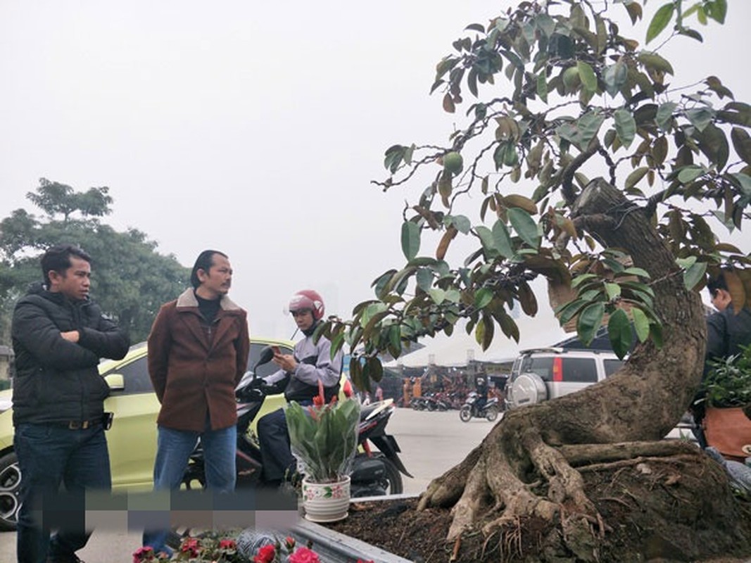 Man nhan loat vu sua bonsai kich doc chung Tet-Hinh-5