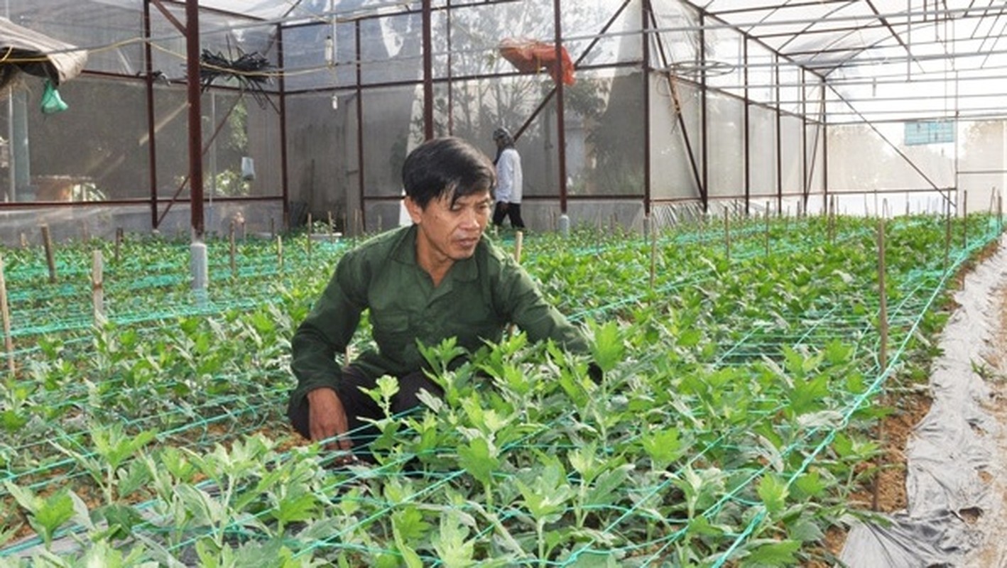 Lang hoa kieng khap nuoc tat bat vao vu Tet-Hinh-7