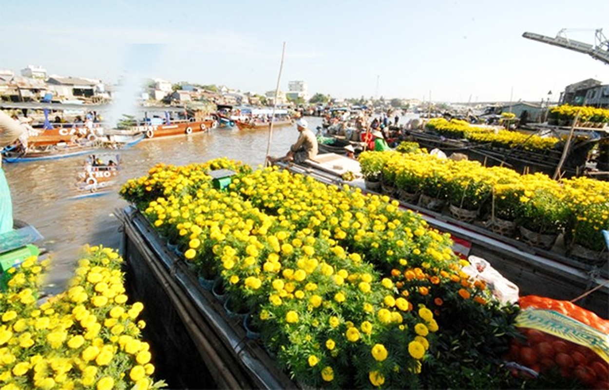 Nhung cho hoa Tet noi tieng tu Bac vao Nam-Hinh-11