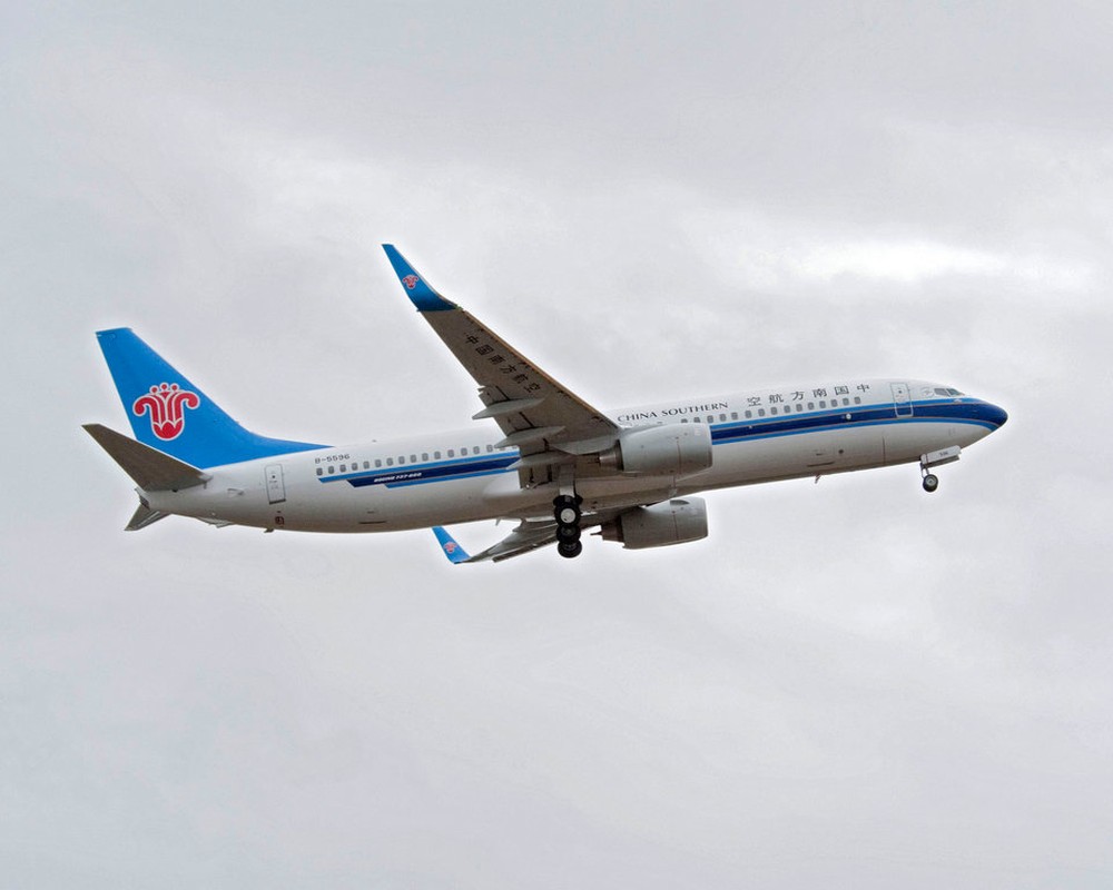 12 hang hang khong su dung Boeing 737 Max nhieu nhat-Hinh-6