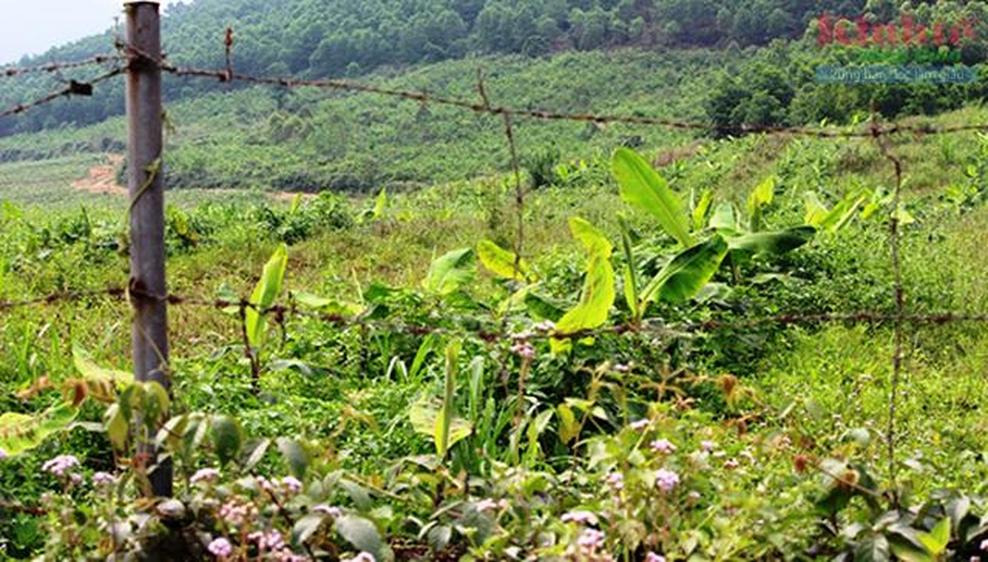 Chi tiet du an khien con trai ong Tran Bac Ha bi bat-Hinh-5