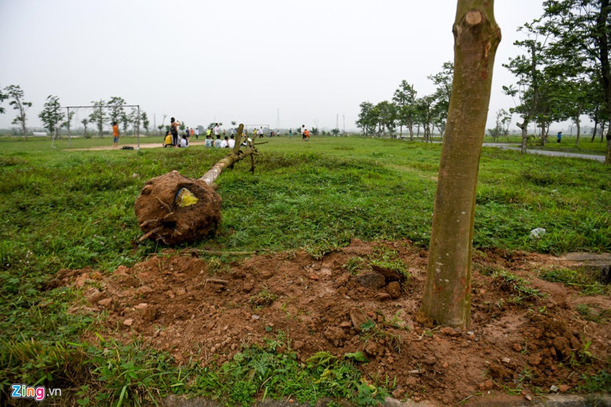 Ben trong KDT 2.000 ha bo hoang Thu tuong yeu cau kiem tra-Hinh-8