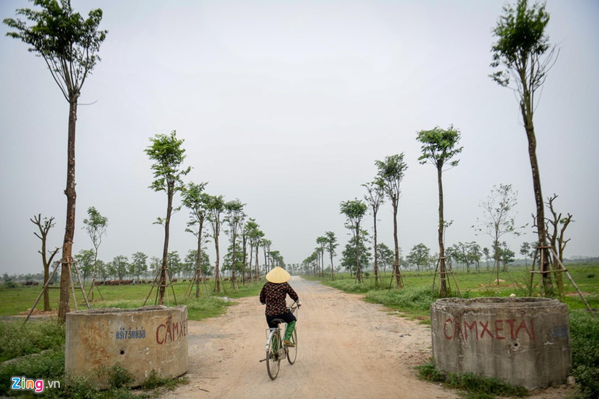 Ben trong KDT 2.000 ha bo hoang Thu tuong yeu cau kiem tra