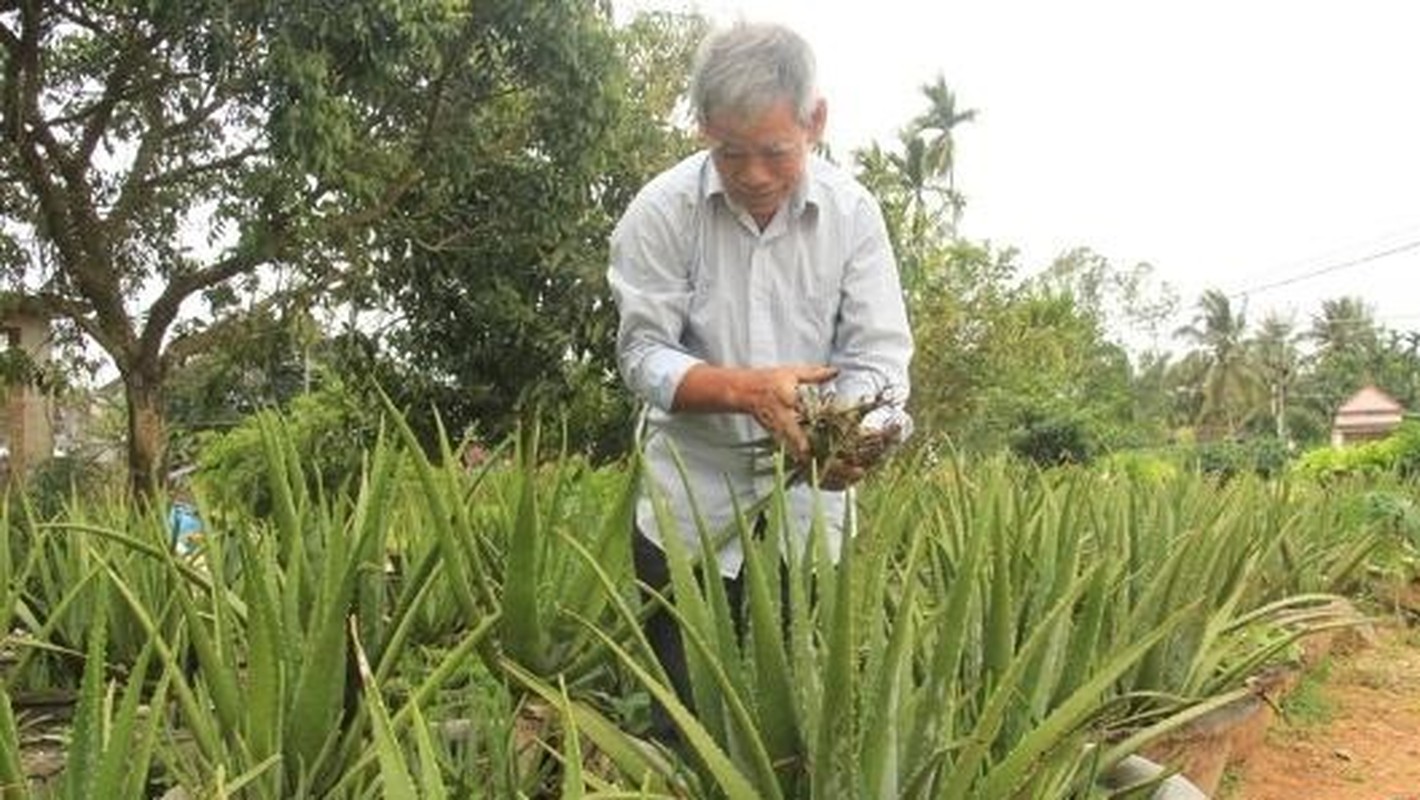 Trong nha dam sieu don gian, lai 