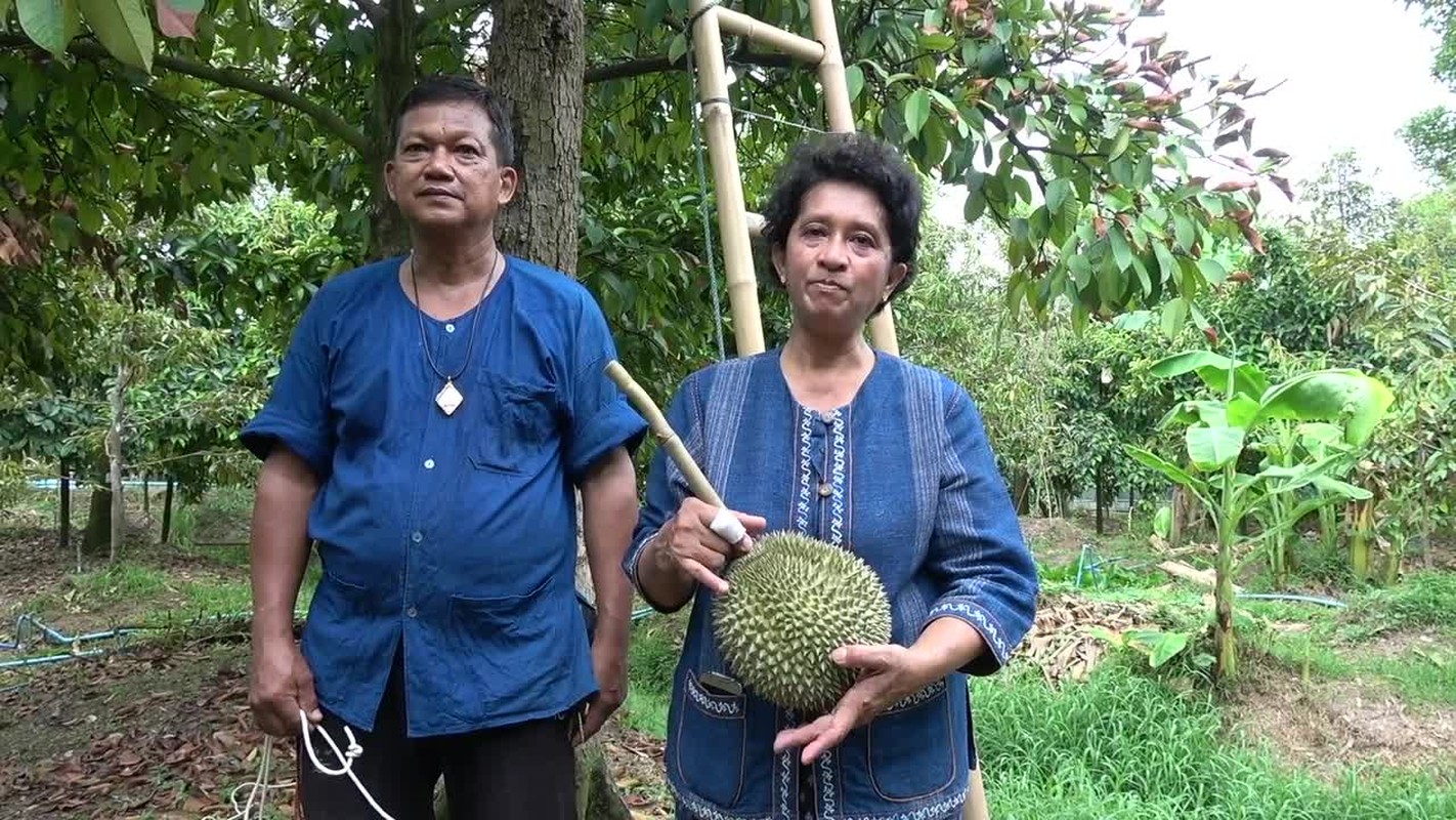 Dot nhap thu phu sau rieng co gia hang tram trieu, bang ca 1 can ho hang trung-Hinh-2