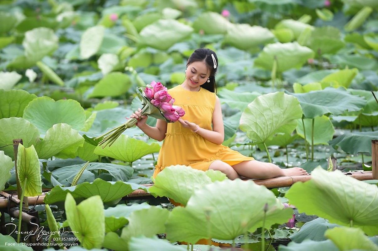 Chup anh hoa sen, pho nhay thu nhap khung “kho luong“-Hinh-4