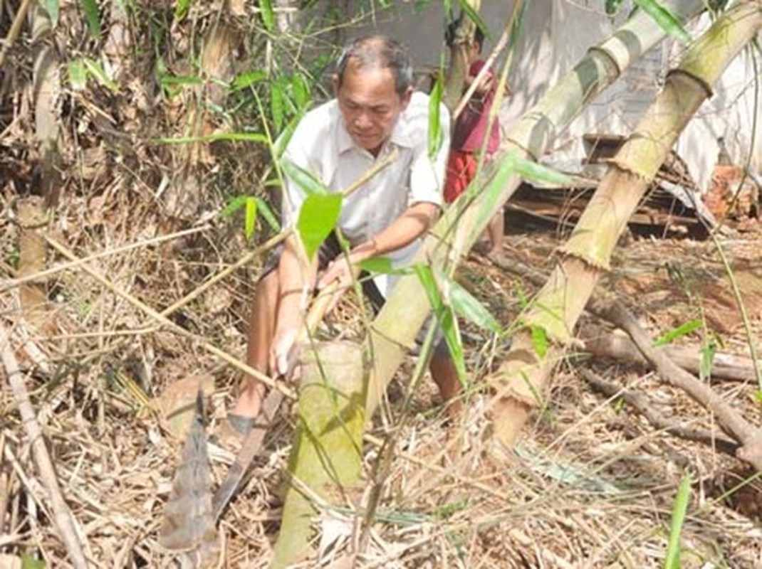 Ngo ngang xem nguoi dan “hot bac” hang tram trieu tu trong tre lay mang-Hinh-8