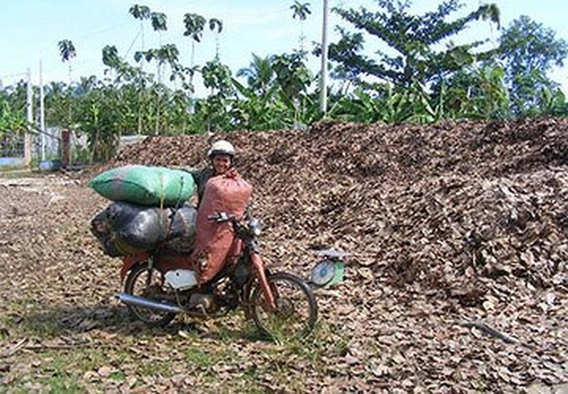 Tai sao nguoi Trung Quoc tranh nhau mua bo 3 soc?-Hinh-9