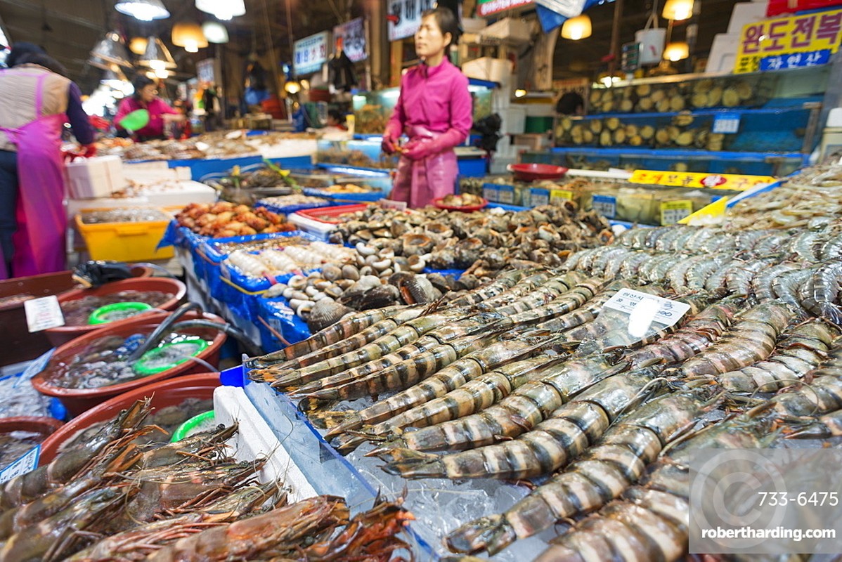 Ben trong khu cho hai san lon nhat Seoul, cao 8 tang Ngoc Trinh vua ghe tham-Hinh-5