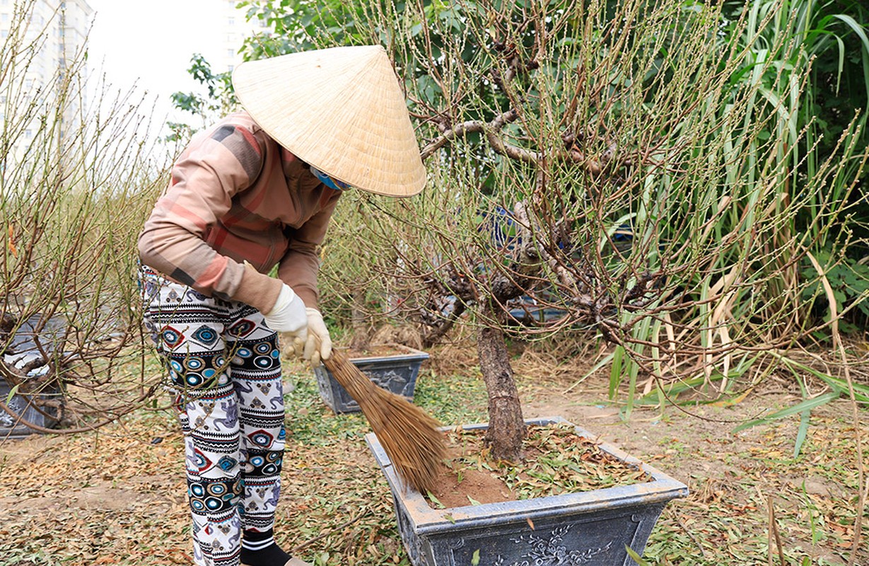 Da mat ngam dao khung, sai triu qua xuong pho som don Tet-Hinh-2