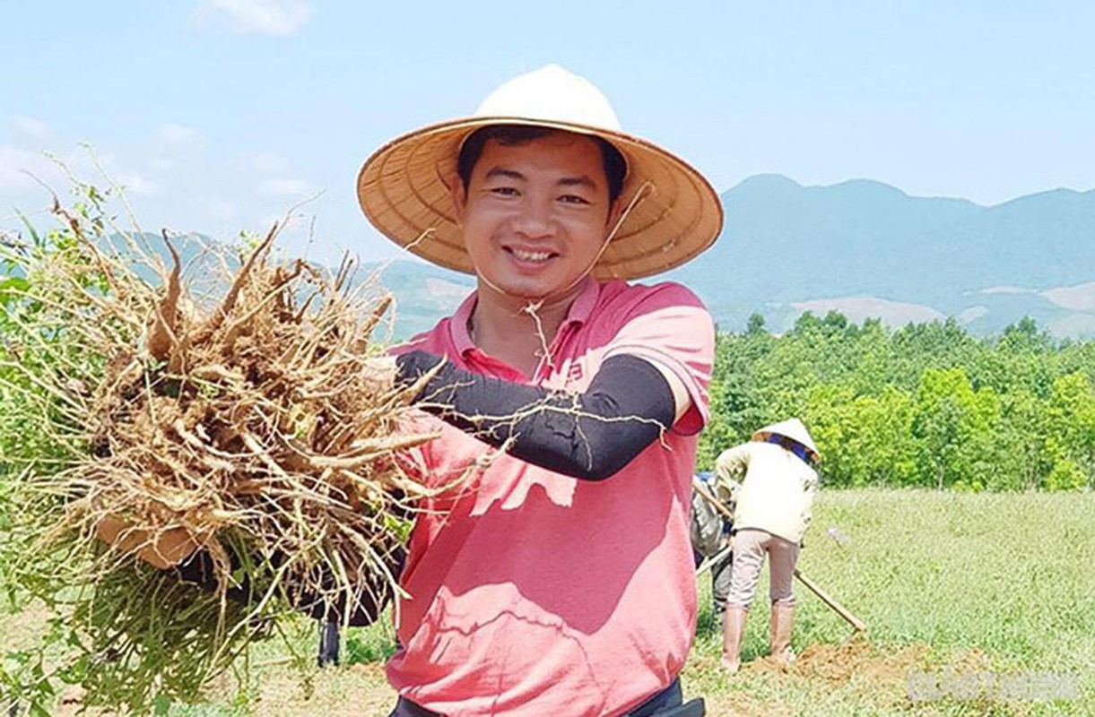 Loai sam tuong tuyet chung bong hoi sinh than ky, dan dut tui tien ty/nam-Hinh-14