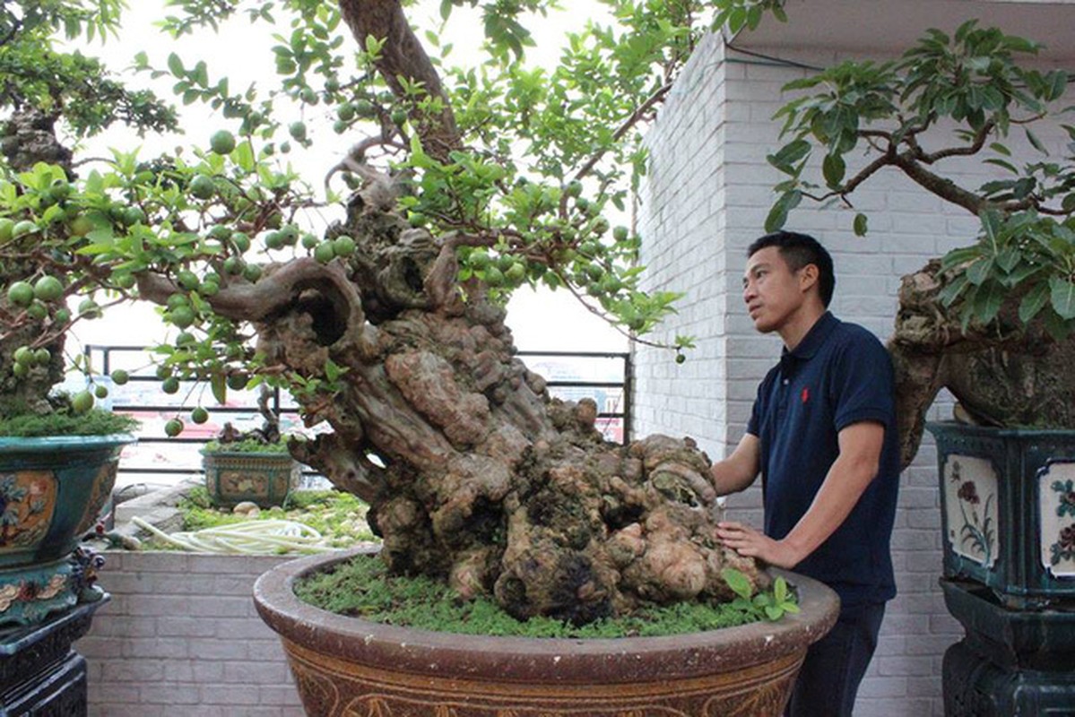 Dai gia Viet me man oi bonsai doc nhat vo nhi gia tien ty-Hinh-8