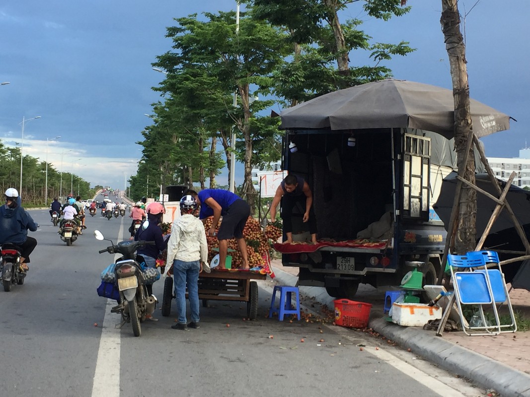 Hoa qua nhap nhem xuat xu, gia re 