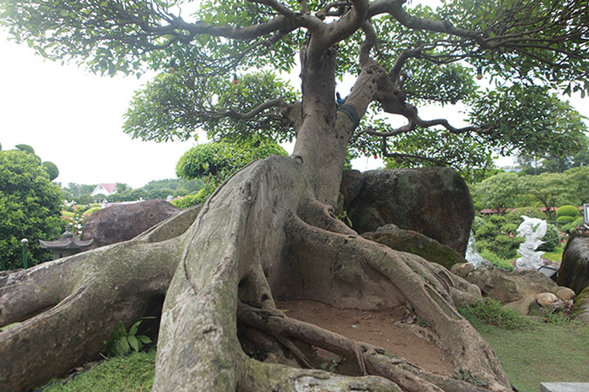 Xem dai gia Viet “vung tien” choi cay sung ngang gia ca sieu xe-Hinh-4