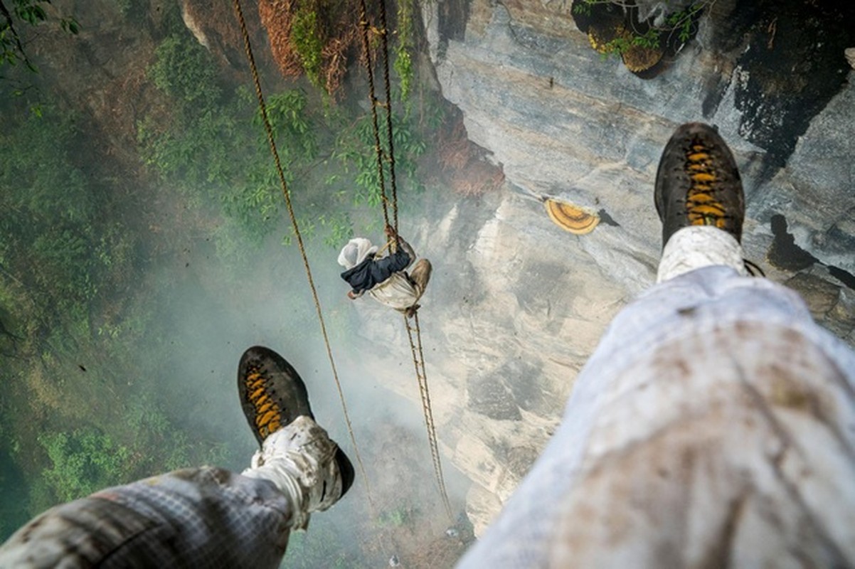 Gian nan nghe san mat ong tren dinh the gioi