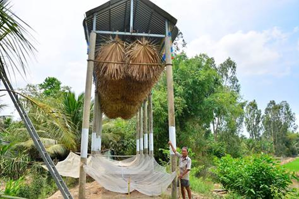 Soi gioi tinh ga “tien khung“: Diem nghe la boi thu nganh chan nuoi-Hinh-8