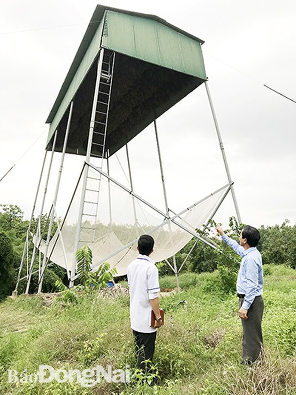 Soi gioi tinh ga “tien khung“: Diem nghe la boi thu nganh chan nuoi-Hinh-9