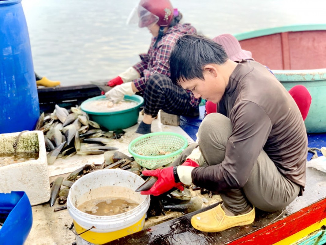 Ngu dan Ha Tinh kiem tien trieu moi ngay-Hinh-2