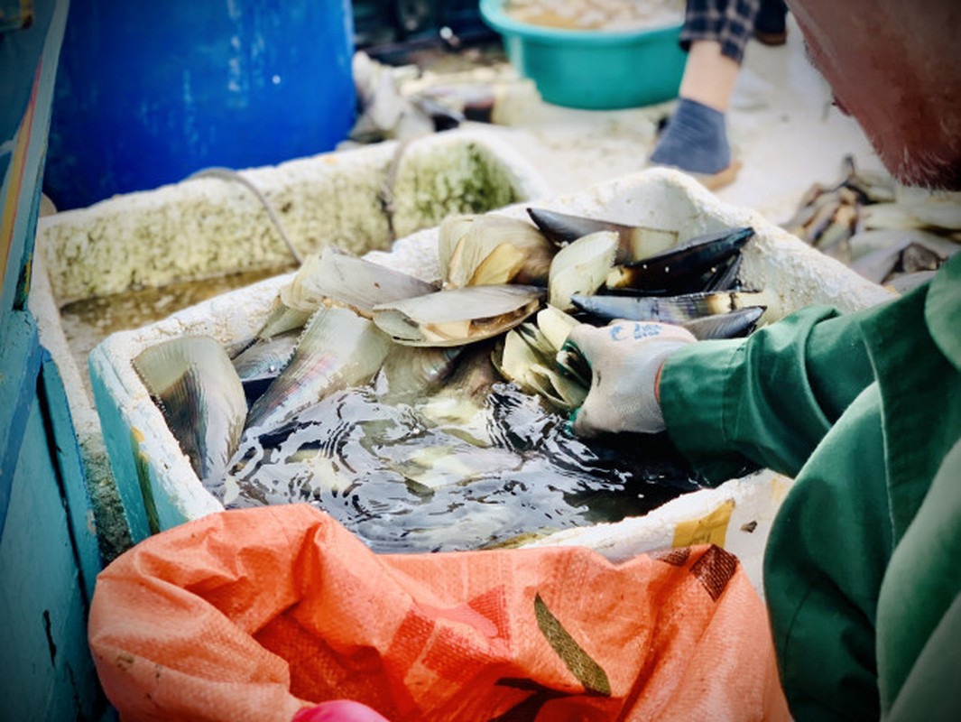 Ngu dan Ha Tinh kiem tien trieu moi ngay-Hinh-8