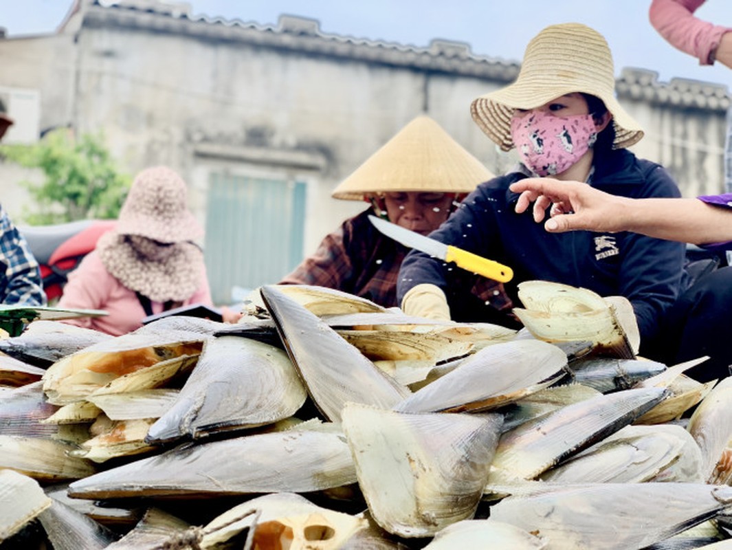 Ngu dan Ha Tinh kiem tien trieu moi ngay-Hinh-9