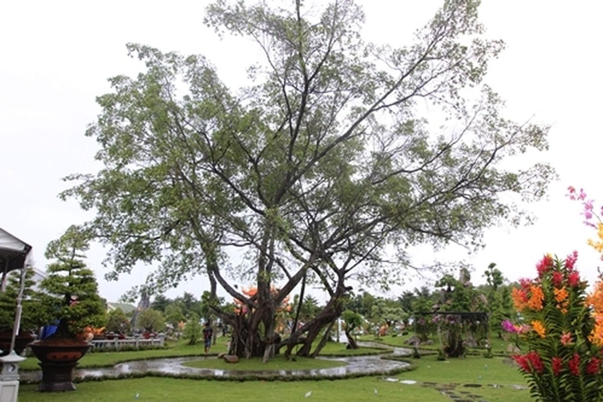 Toan canh kien truc nha tho To hoanh trang cua Hoai Linh-Hinh-8