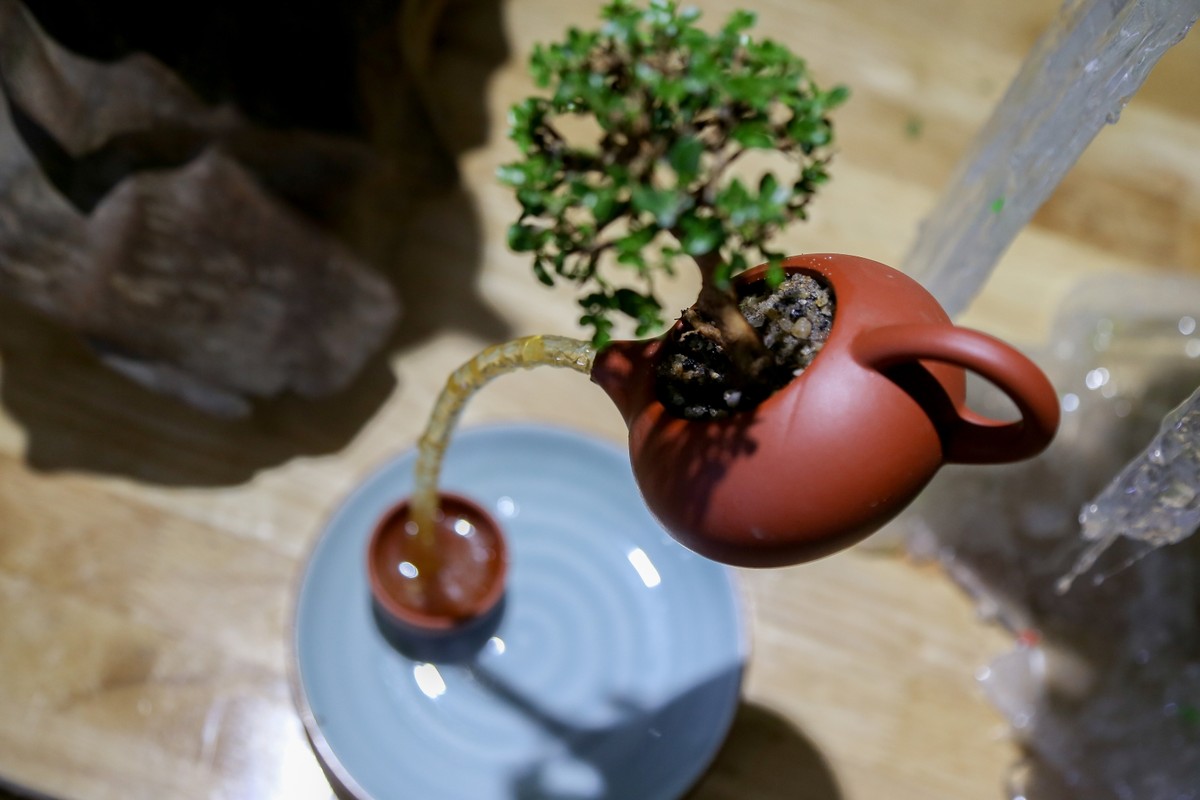 Me man loat bonsai bay lo lung doc dao-Hinh-4