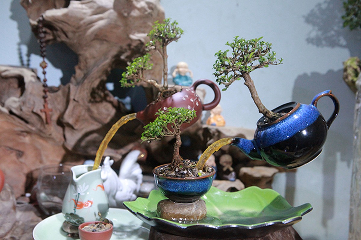 Me man loat bonsai bay lo lung doc dao-Hinh-5