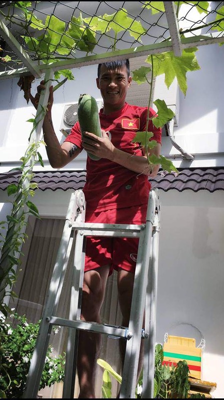 “Nong trai mini” du thu loai rau cu ben trong biet thu cua Thuy Tien-Hinh-9