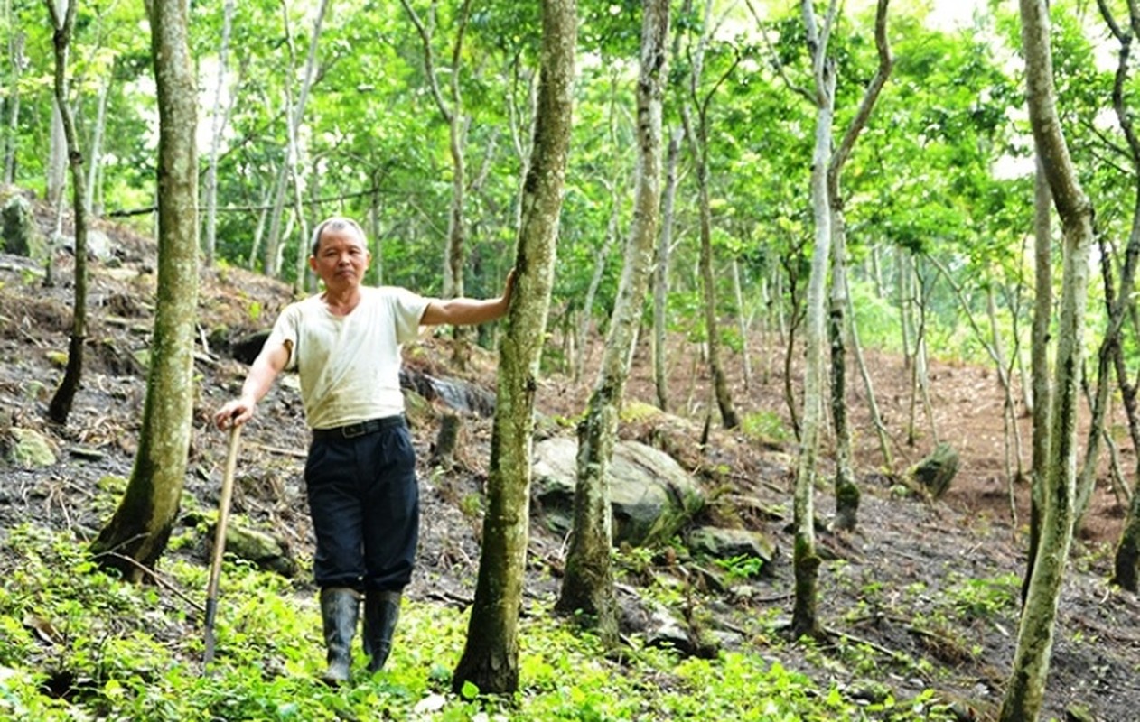 Nguoi Viet “ham” trong cay sua chi phi beo, thu nhap sieu khung-Hinh-8