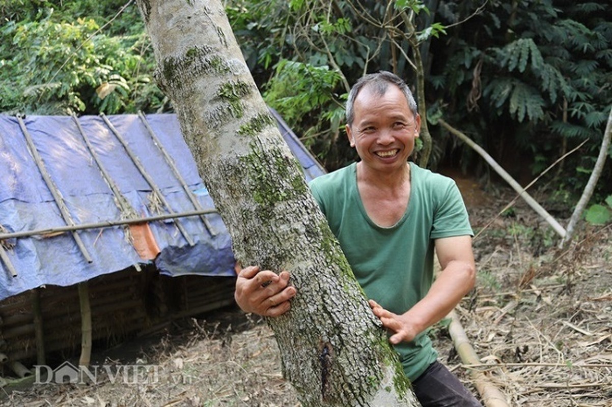 Nguoi Viet “ham” trong cay sua chi phi beo, thu nhap sieu khung-Hinh-9