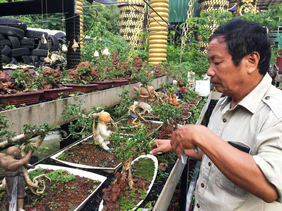 Man nhan bo suu tap bonsai mini ky luc the gioi cua lao nong Khanh Hoa-Hinh-2