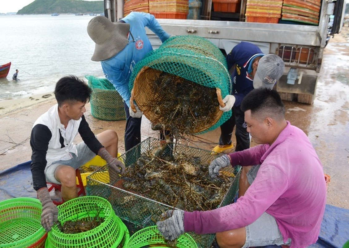 Nhung loai hai san “nha giau” rot gia nam 2020