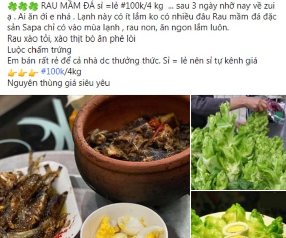 Su that ve loai rau mam da Sa Pa chi 20.000 dong/kg-Hinh-4