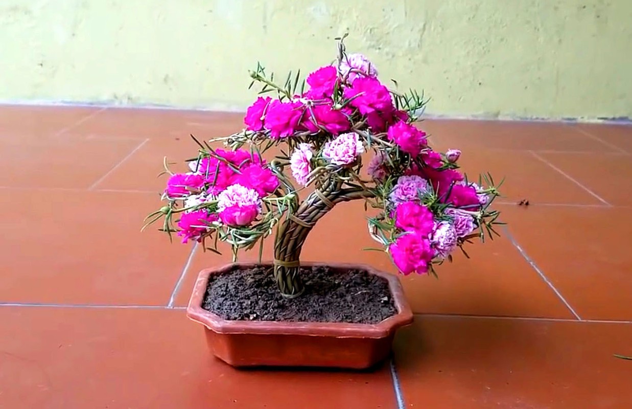 Ngo ngang loat cay dai thanh bonsai choi Tet-Hinh-7