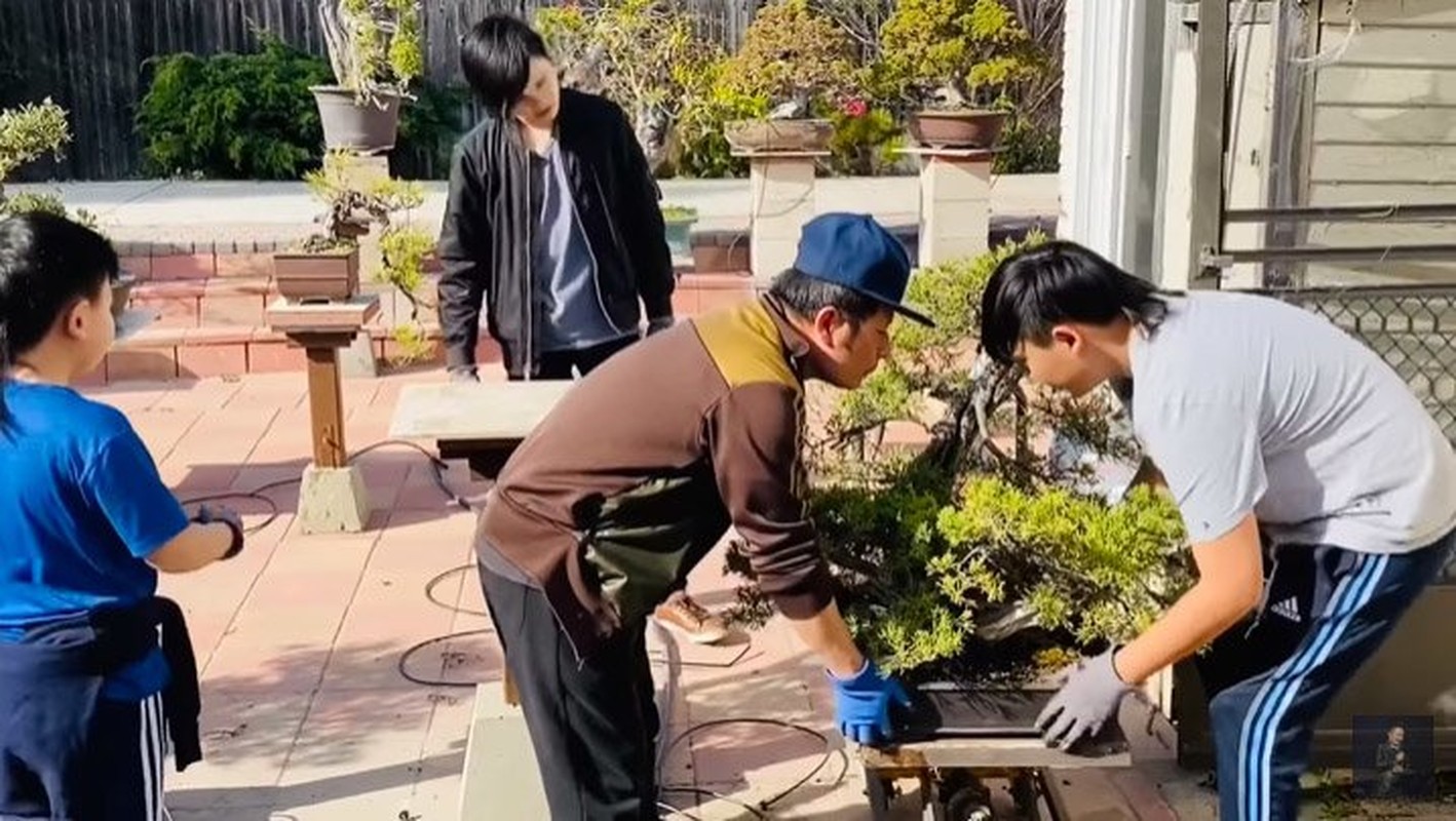 Man nhan vuon bonsai tien ty cua Bang Kieu o My-Hinh-8