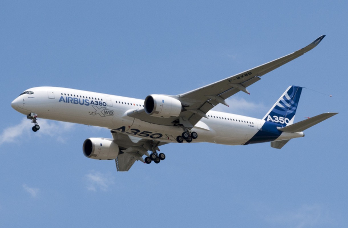Kham pha “sieu may bay” Airbus A350 bi chim troi lam rach vo canh-Hinh-2