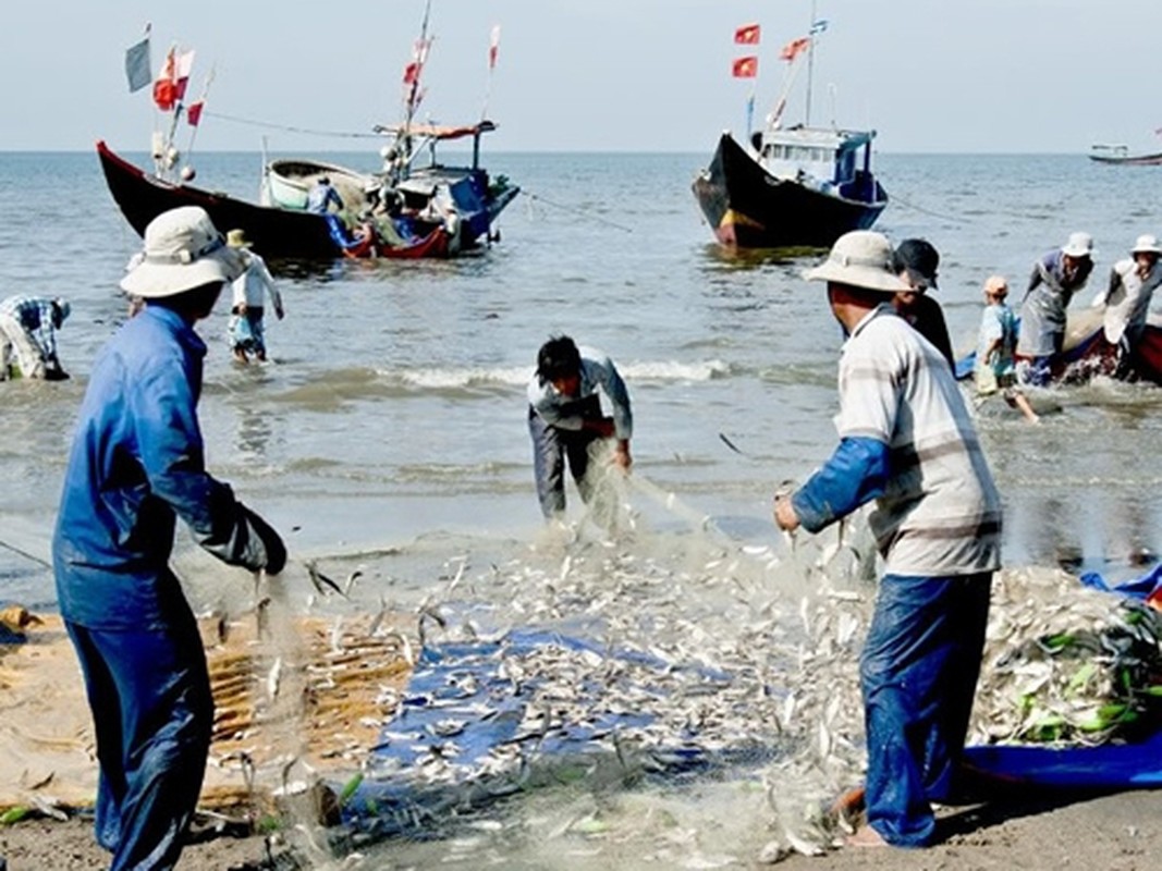 4 nghe nguy hiem kiem bon tien o Viet Nam, chang may ai dam lam-Hinh-9