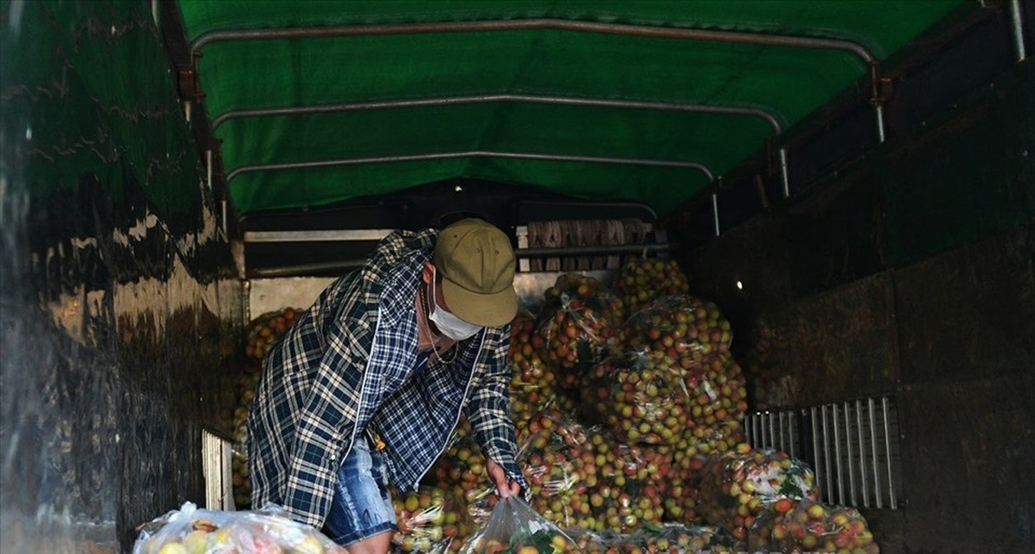 Hoa qua dac san vao mua gia mem o Ha Noi hut khach giua dai dich-Hinh-3