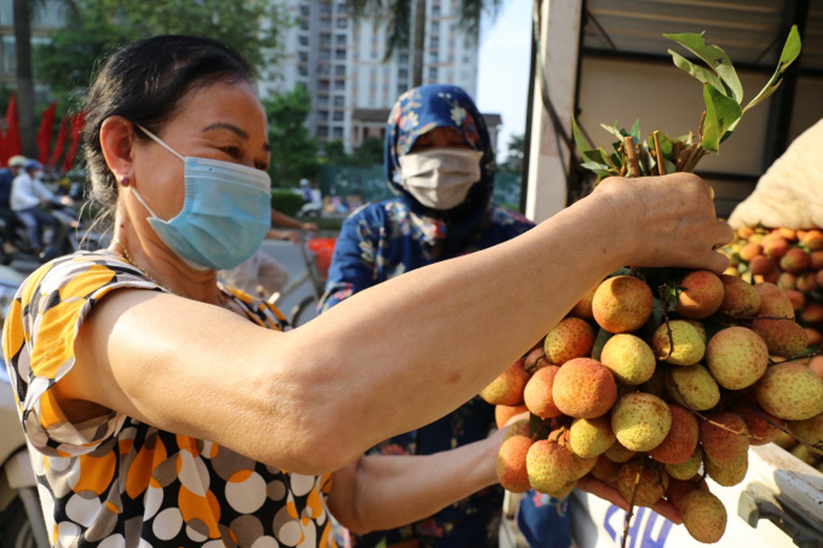 Hoa qua dac san vao mua gia mem o Ha Noi hut khach giua dai dich-Hinh-4