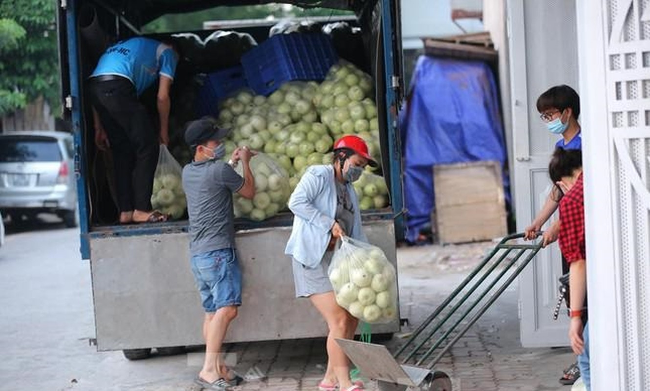 Hoa qua dac san vao mua gia mem o Ha Noi hut khach giua dai dich-Hinh-8