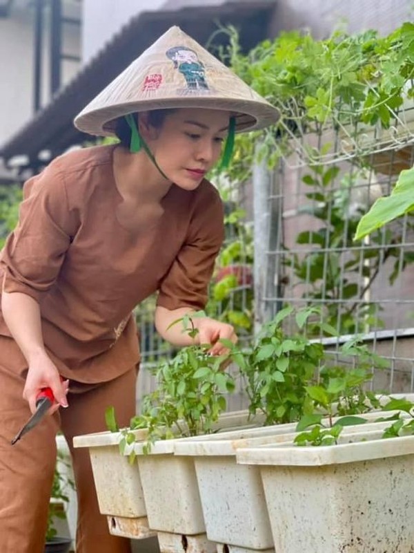 Moi mat ngam vuon rau xanh muot giua dai dich cua Nhat Kim Anh-Hinh-3