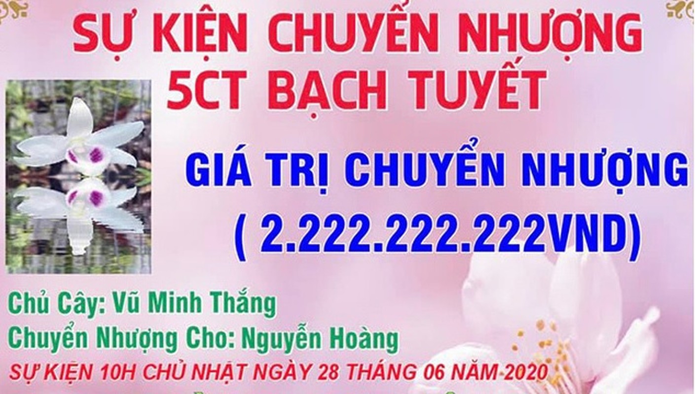 Lan Bach Tuyet thieu gia doi sieu xe co gi “hot“?-Hinh-9