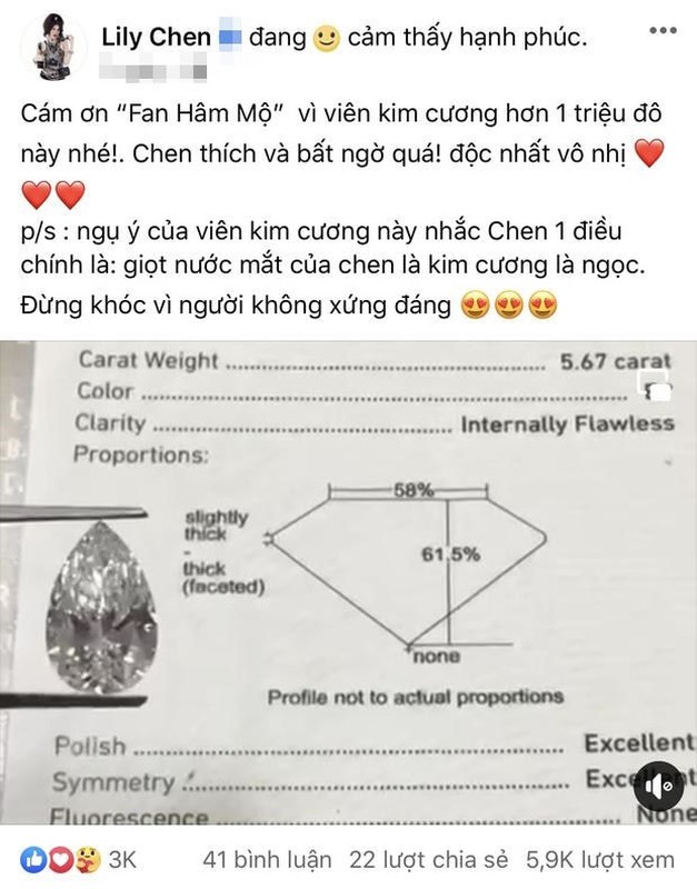 Boc gia loat qua dat do sao Viet duoc fan tang