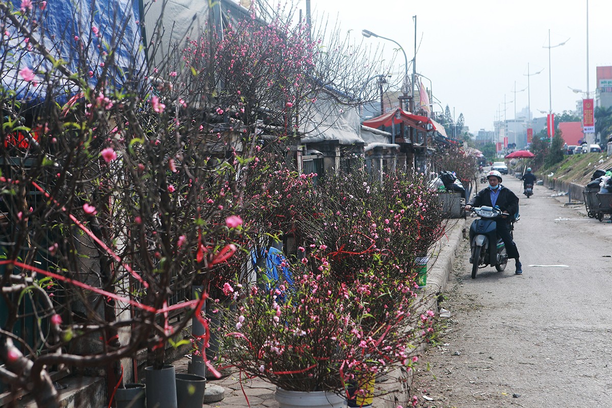 Dao Nhat Tan, buoi canh “no nuc” xuong pho ngong khach don Tet 2022-Hinh-2