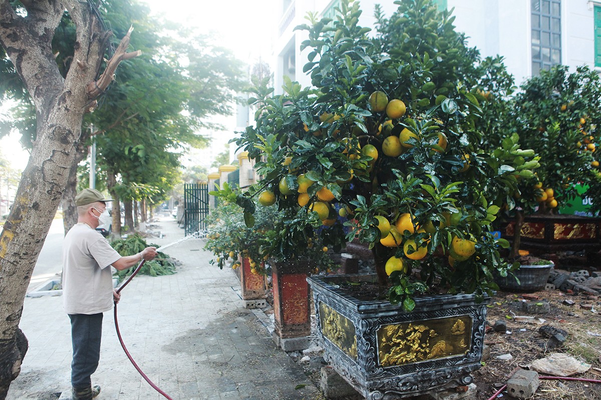 Dao Nhat Tan, buoi canh “no nuc” xuong pho ngong khach don Tet 2022-Hinh-9