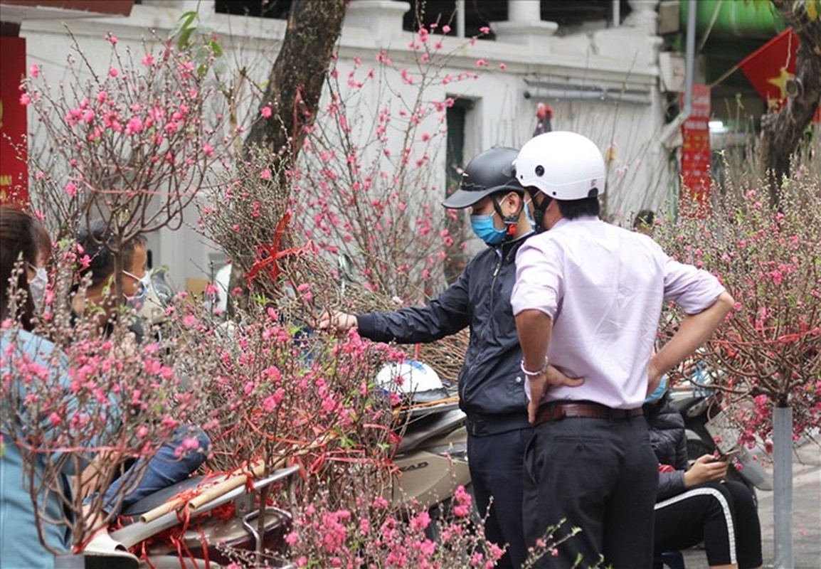 Ha Noi: Muon sam hoa Tet dep, re… den ngay 5 cho hoa Tet nay-Hinh-3