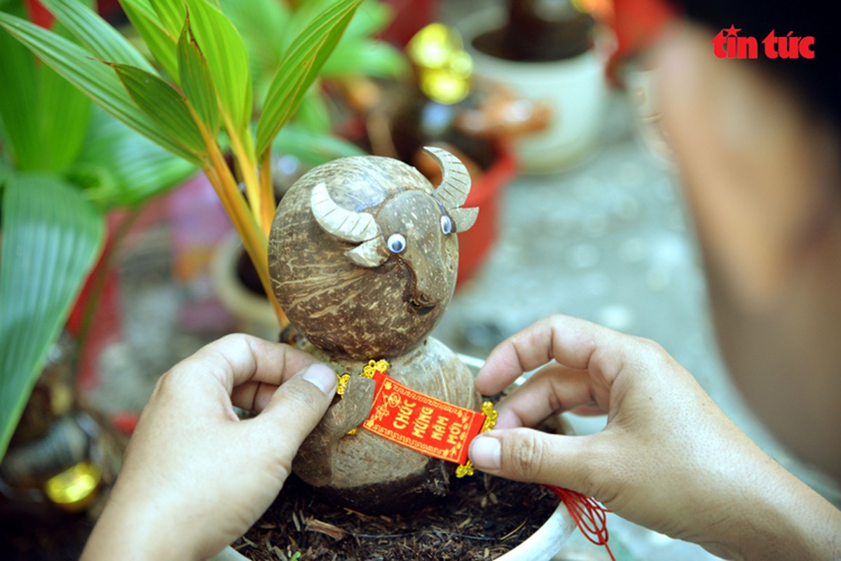 Chiem nguong dua bonsai tao hinh con giap “chay hang” dip Tet-Hinh-6