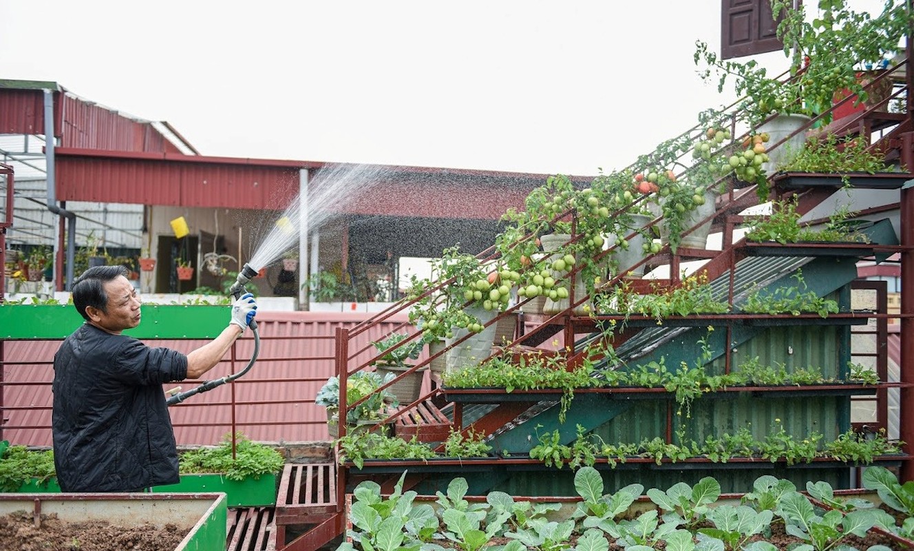 Man nhan vuon rau 200 trieu tren san thuong cua ong bo Ha Noi-Hinh-9