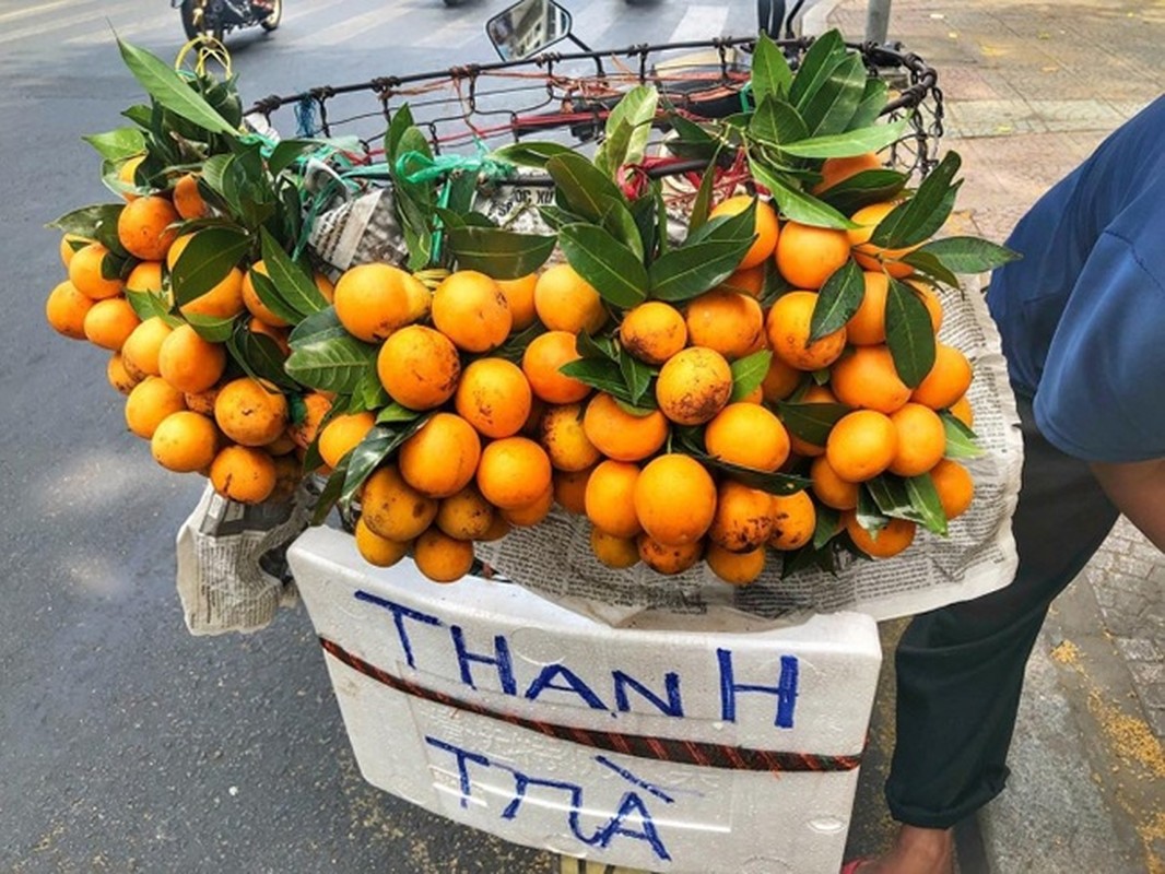 3 loai qua xua khong ai an thanh dac san tranh nhau mua-Hinh-4