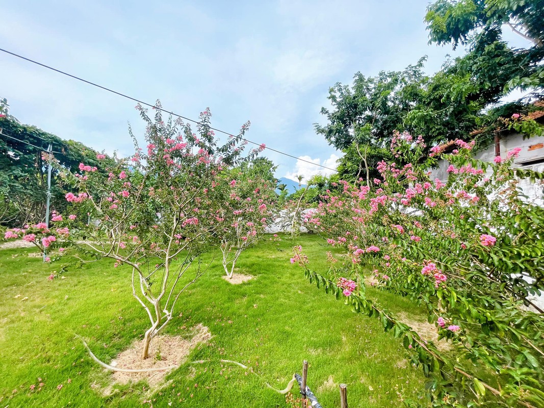 Choang ngop nha vuon nghi duong rong menh mong cua danh hai dat Bac-Hinh-12